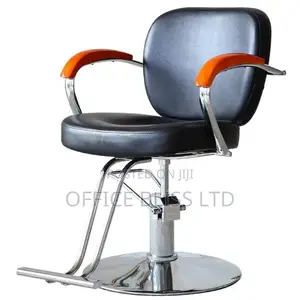 Salon Barbing Chair Wirh Wooden Armrest