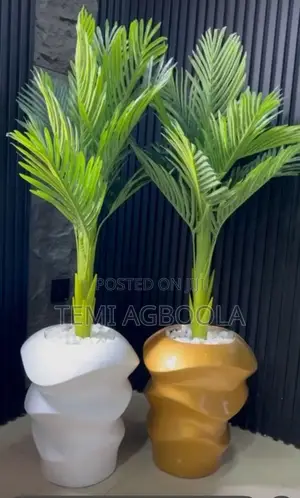Potted Fibre and Plant