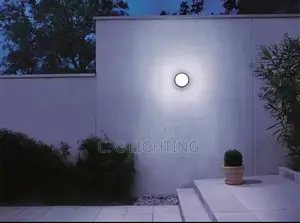 Outdoor Waterproof Ceiling Light Wall Light Modern