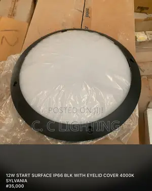 Outdoor Waterproof Ceiling Light Wall Light Modern