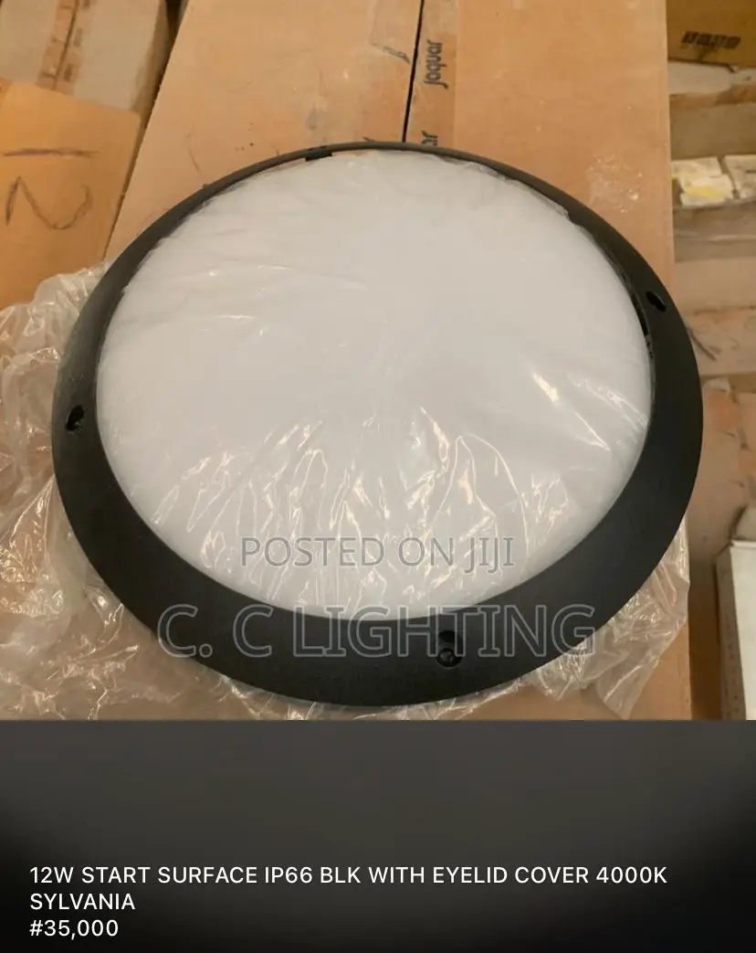 Outdoor Waterproof Ceiling Light Wall Light Modern