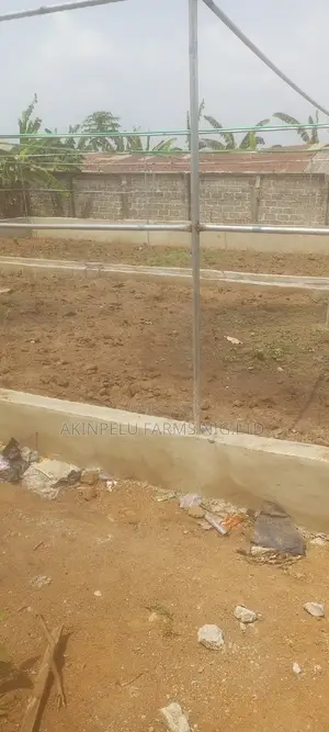 Green House Construction