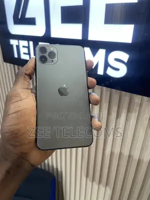 Apple iPhone 11 Pro Max 64 GB Gray