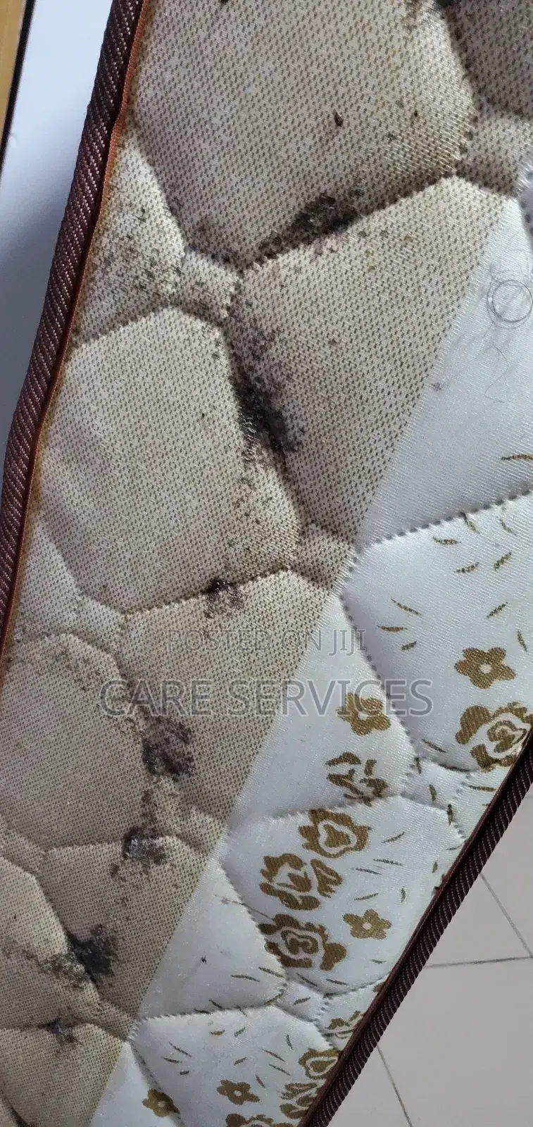 Bedbugs Taking Over??