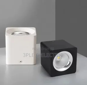 10 Watts Paraphet Light