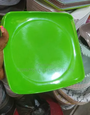 Unbreakable Bowl and Flat Plate (12pcs)