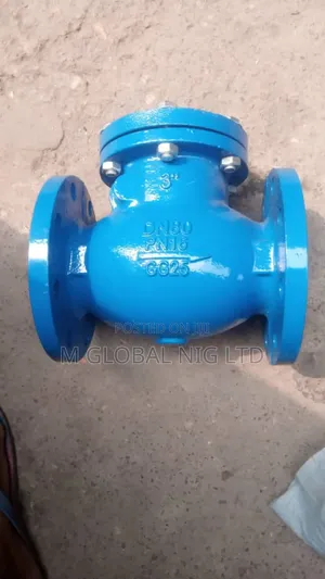 3" Non Return Valve (DN80)