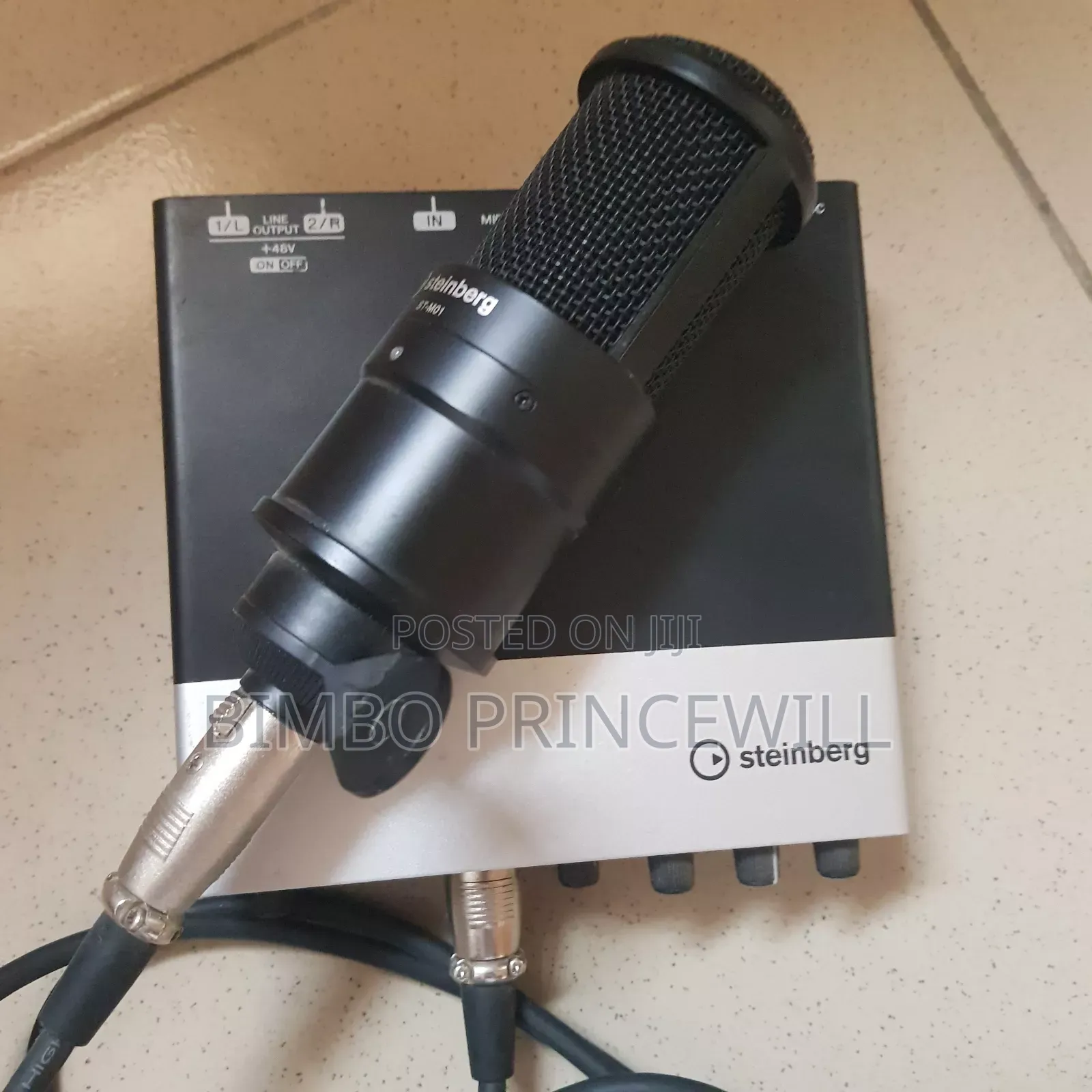 Steinberg Box and Mics