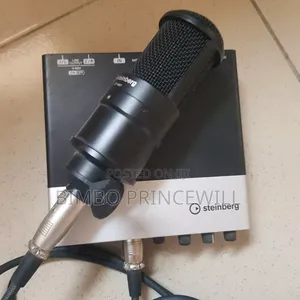 Steinberg Box and Mics