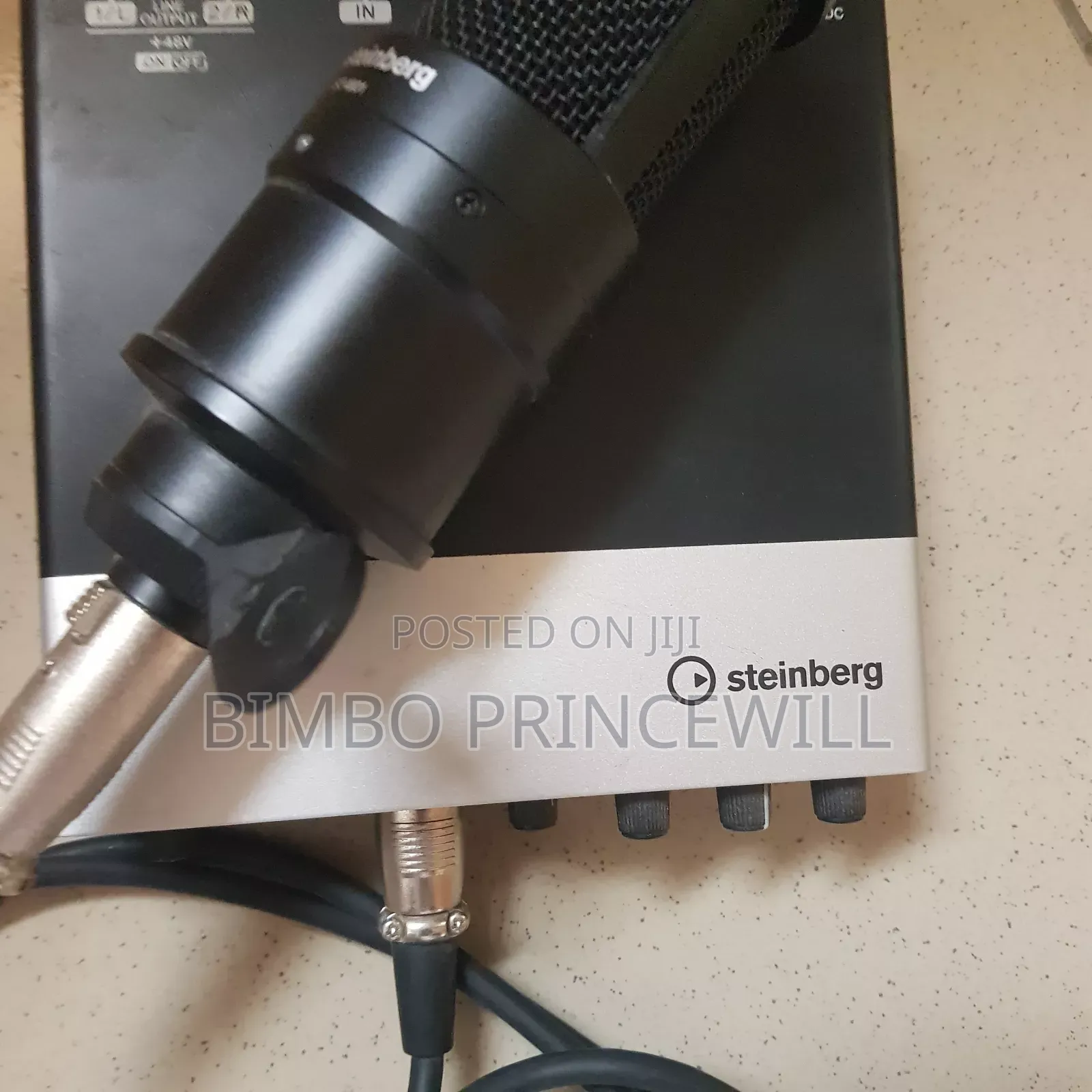 Steinberg Box and Mics