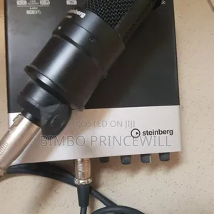 Steinberg Box and Mics