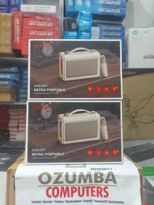 Havit SK823BT Retro Portable Bluetooth Karaoke Speaker