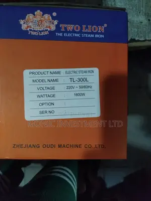 2 Lion Electric Steam Iron
