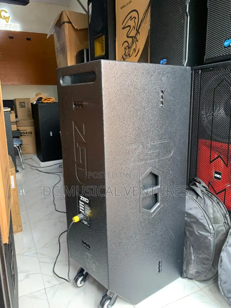 ZED Double Professional Speaker