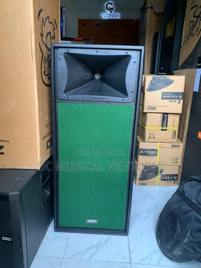 ZED Double Professional Speaker