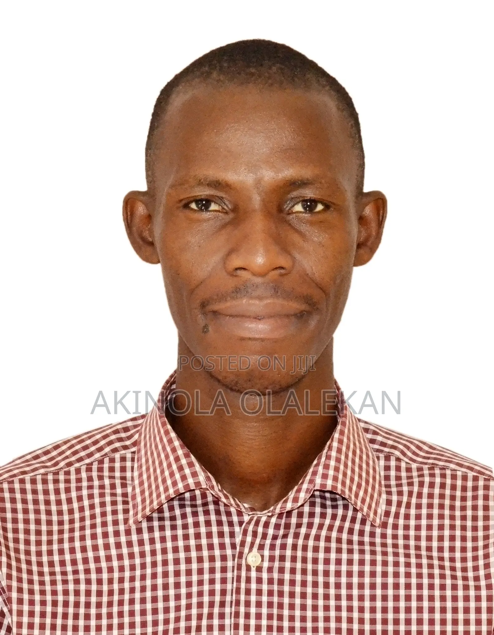 Data Analyst