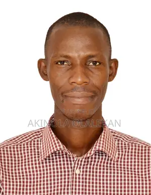 Data Analyst