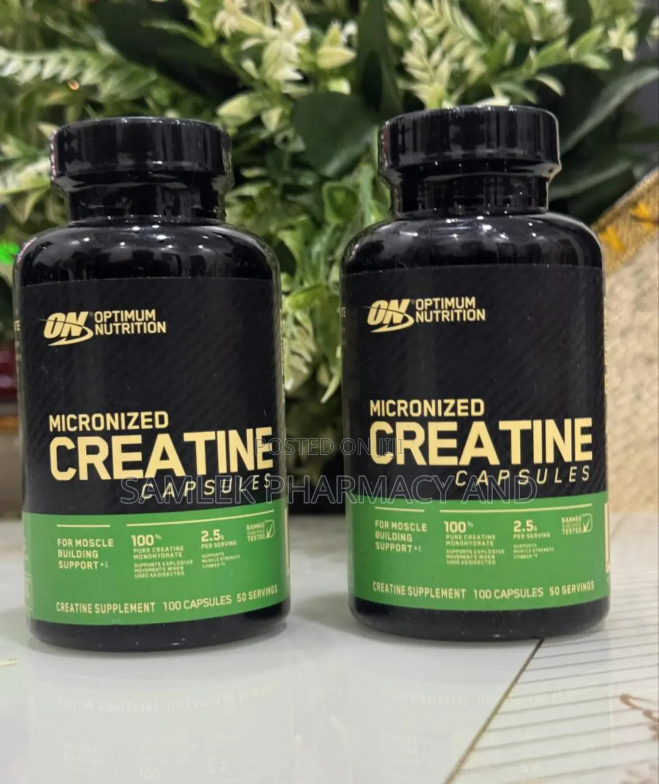 Optimum Nutrition Micronize Creatine Capsules -100caps
