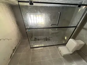 Frameless Glass Shower