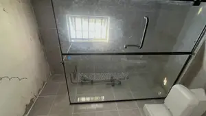 Frameless Glass Shower