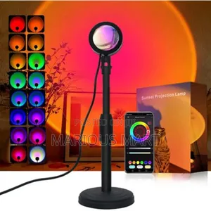 Sunset Projector Light