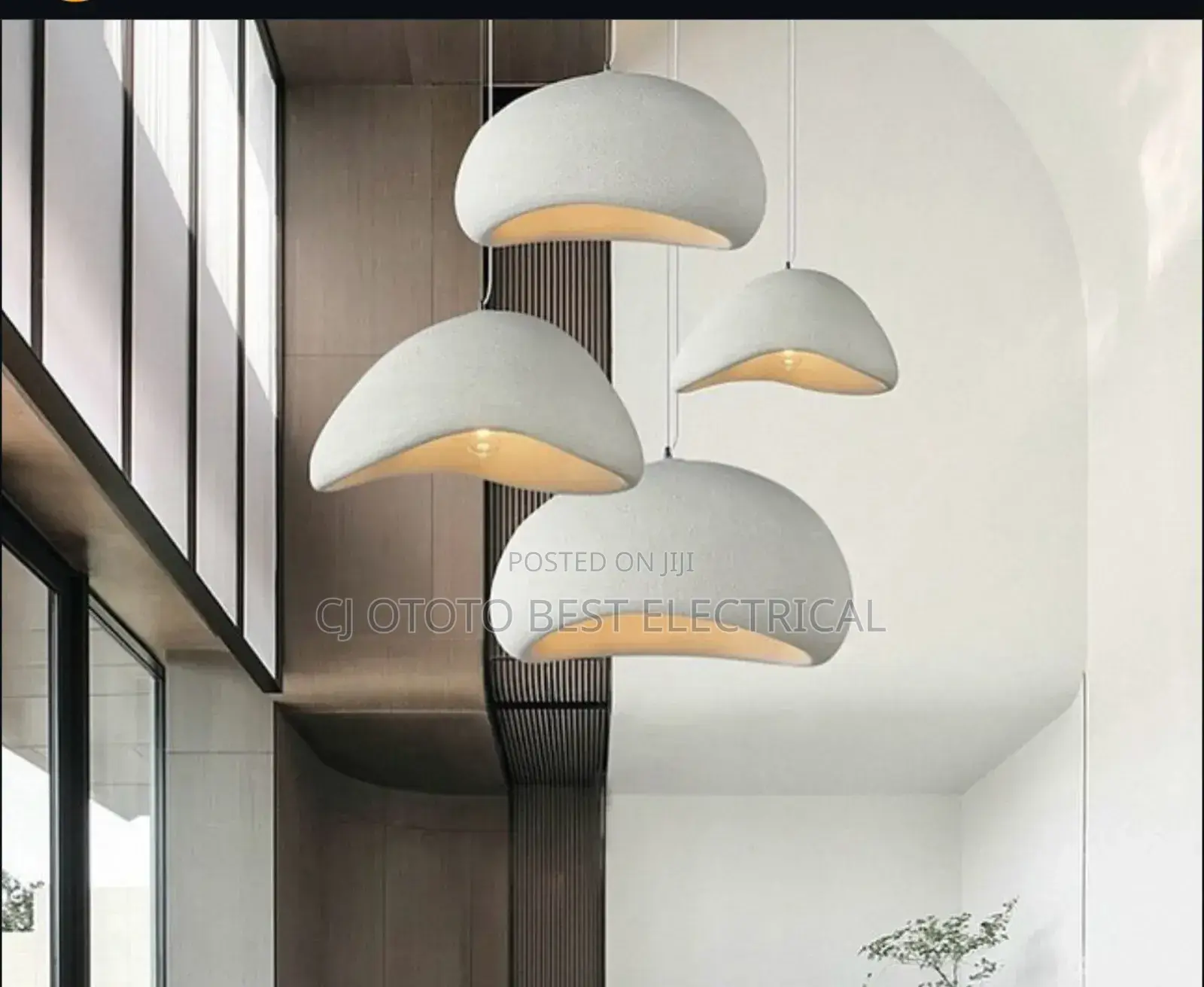 Pendant Luxury Light Available Now