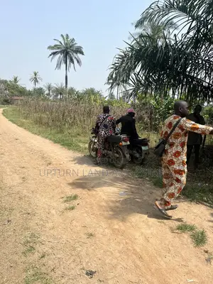 100 Acres of Land for Sale at Ibeju Lekki at Cheaper Price
