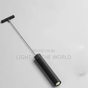 Dropping Magnetic Light