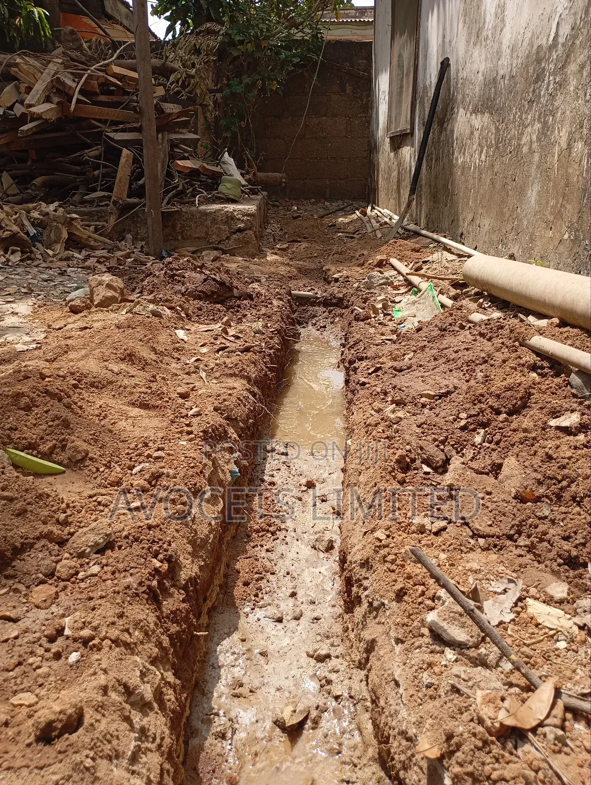Termite (Deemark) Control.