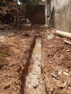 Termite (Deemark) Control.