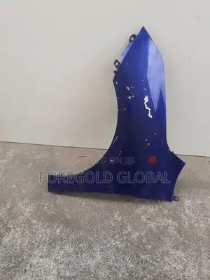 Elantra 2020 Fender