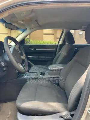 Dodge Charger SE 2008 Gray