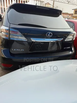 Lexus RX 2010 Gray