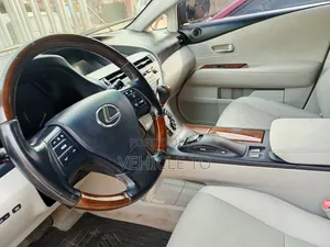 Lexus RX 2010 Gray