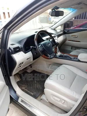 Lexus RX 2010 Gray