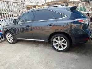 Lexus RX 2010 Gray