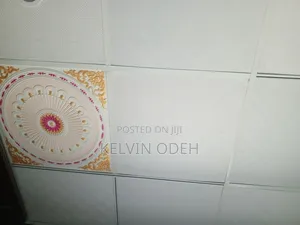 Suspended Ceiling Board