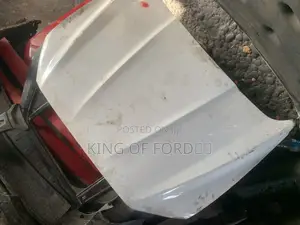 Ford Fusion 2016 Bonnet
