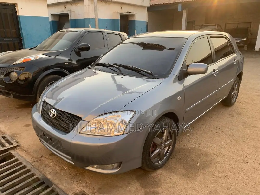 Toyota Corolla 2004 Gray