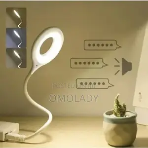 Voice Control Light