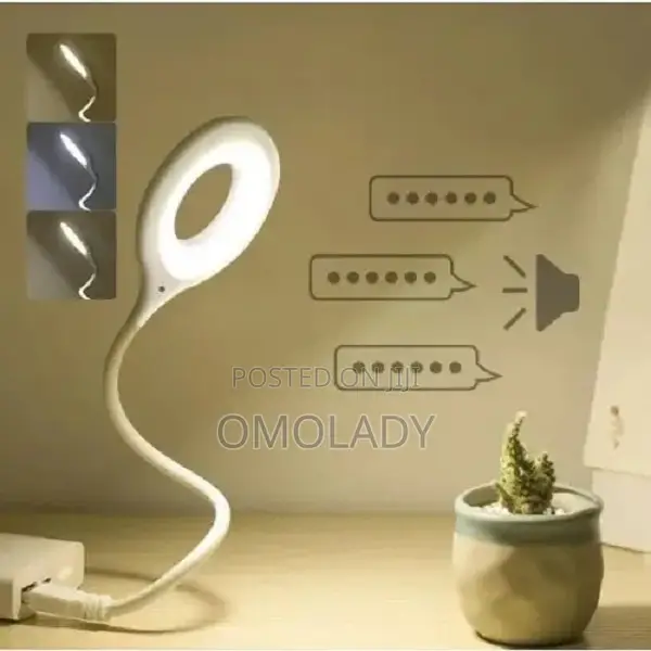 Voice Control Light