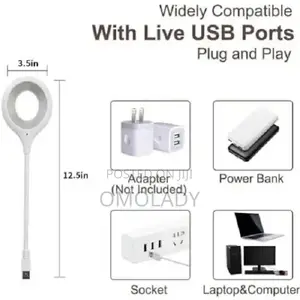 Voice Control Light