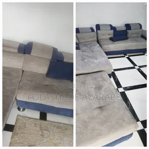 Professional Cleaning