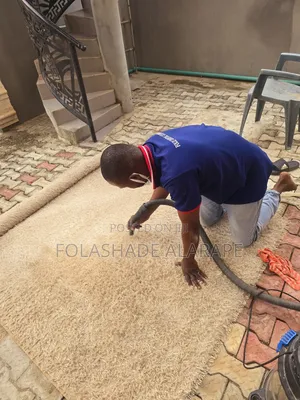 Professional Cleaning