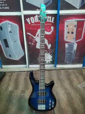 Alvarez Guitar