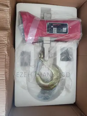 Crane Weighing Scale