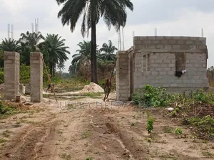 Affordable Land in Igwuruta-Ali Portharcourt