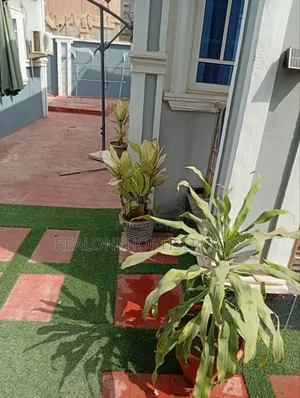 Bring Green Life to Your Space With Our Stlyed Potted Plants