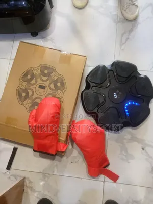 Wall Punching Box With Music