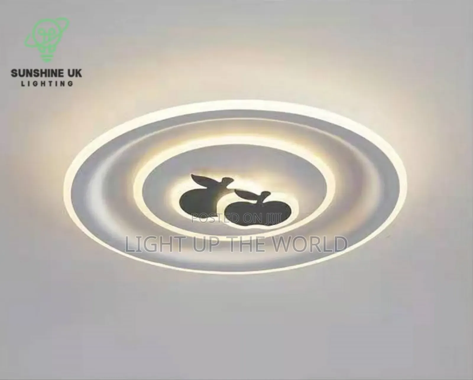 Ceiling Feting